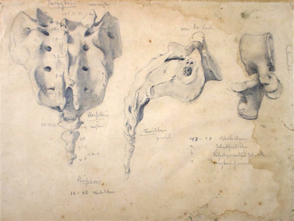 Pedro Weingärtner - Estudo, s.d.