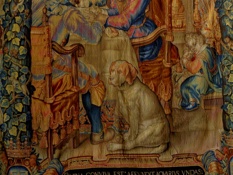 Münchner Knautschhund Nr. 2
