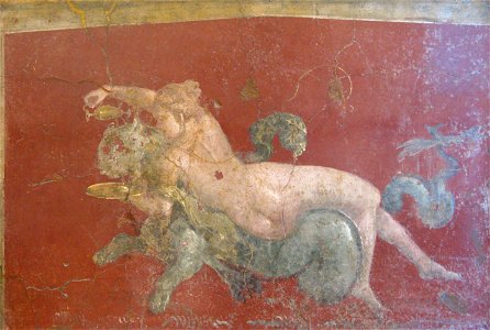 Nereide-su-pantera