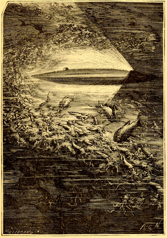 Nautilus Neuville