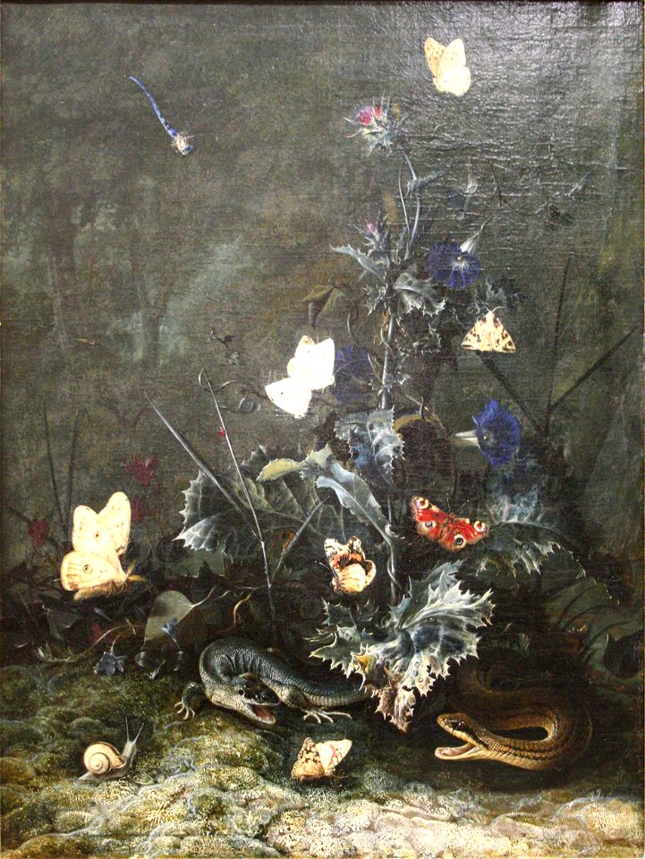 Otto Marseus van Schrieck Sous-bois