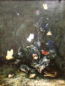 Otto Marseus van Schrieck Sous-bois