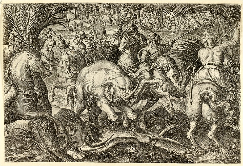Olifantenjacht. NL-HlmNHA 1477 53008402