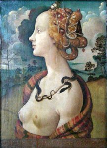 Piero di cosimo, ritratto di simonetta vespucci