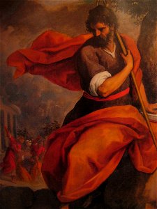 PalmaGiovane03