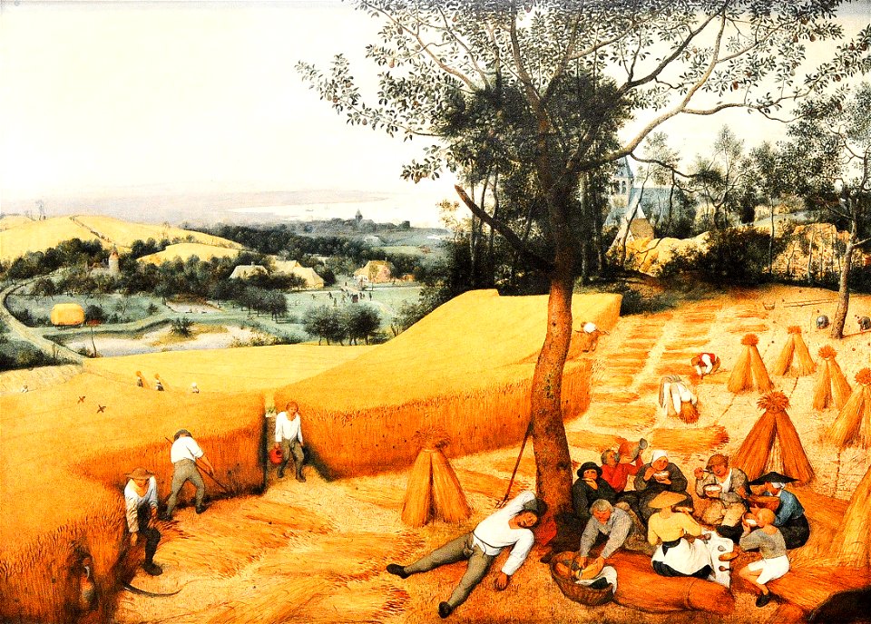 Pieter Bruegel de Oude (ca.1525–1569) - De oogst - The Met New York 27-02-2016