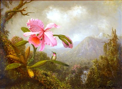Orchid and Hummingbird near a Mountain Waterfall, by Martin Johnson Heade, view 2, 1902 AD, oil on canvas - Museo Nacional Centro de Arte Reina Sofía - DSC08655. Free illustration for personal and commercial use.