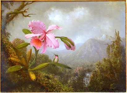 Orchid and Hummingbird near a Mountain Waterfall, by Martin Johnson Heade, view 1, 1902 AD, oil on canvas - Museo Nacional Centro de Arte Reina Sofía - DSC08654. Free illustration for personal and commercial use.