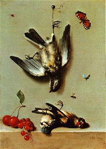 Jean-Baptiste Oudry - Nature morte avec oiseux morts et cerises