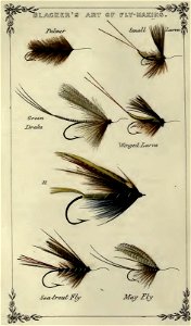 Plate 14 Blackers Plate of Larvas and Green Drakes