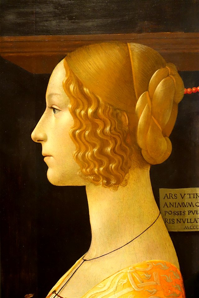 Portrait of Giovanna Tornabuoni by Domenico Ghirlandaio, view 2, 1488 AD, mixed techniques on wood - Museo Nacional Centro de Arte Reina Sofía - Madrid, Spain - DSC08561