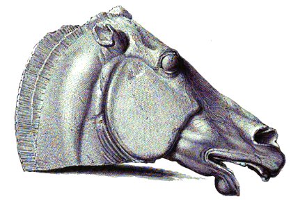 Pferdekopf