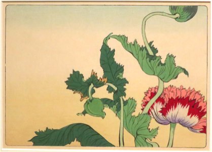 Peony by Shibata Zeshin from Comparing Flowers, Volume 6