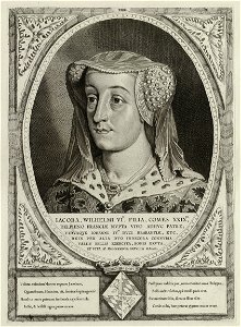 Portret van Jacoba van Beieren, gravin van Holland, Zeeland en Henegouwen. Ze draagt een sluier en een hoofdtooi, versierd met parels en edelstenen. De omlijsting is versierd met het alliant, NL-HlmNHA 1477 53012922