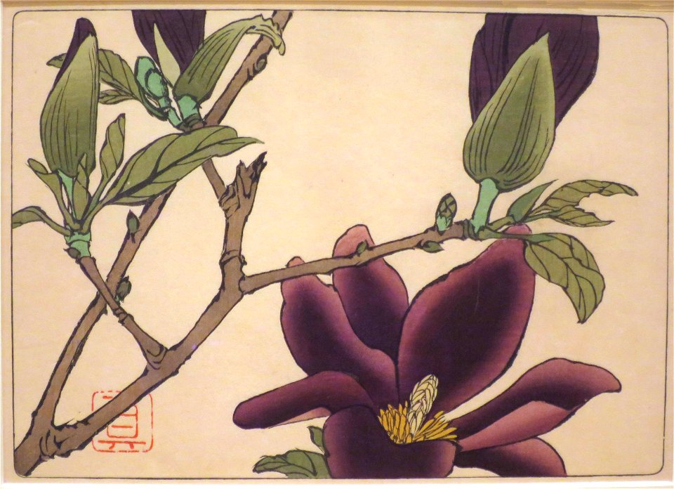 Purple Magnolia by Shibata Zeshin from Comparing Flowers, Volume 6