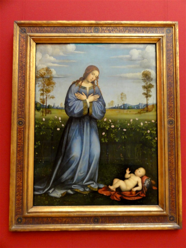 Raibolini, Francesco — Madonna im Rosenhag