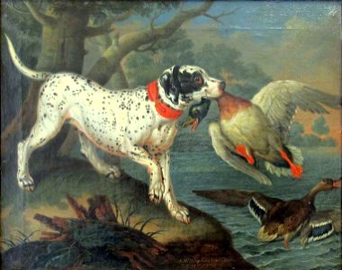 Philipp ferdinand hamilton, anatre selvatiche cacciate da un cane