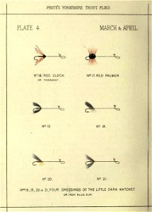 Plate4-YorkshireTroutFlies. Free illustration for personal and commercial use.