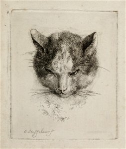 Poezenkop. NL-HlmNHA 1477 53012079