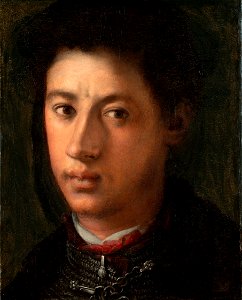 Jacopo Pontormo - Alessandro de'Medici