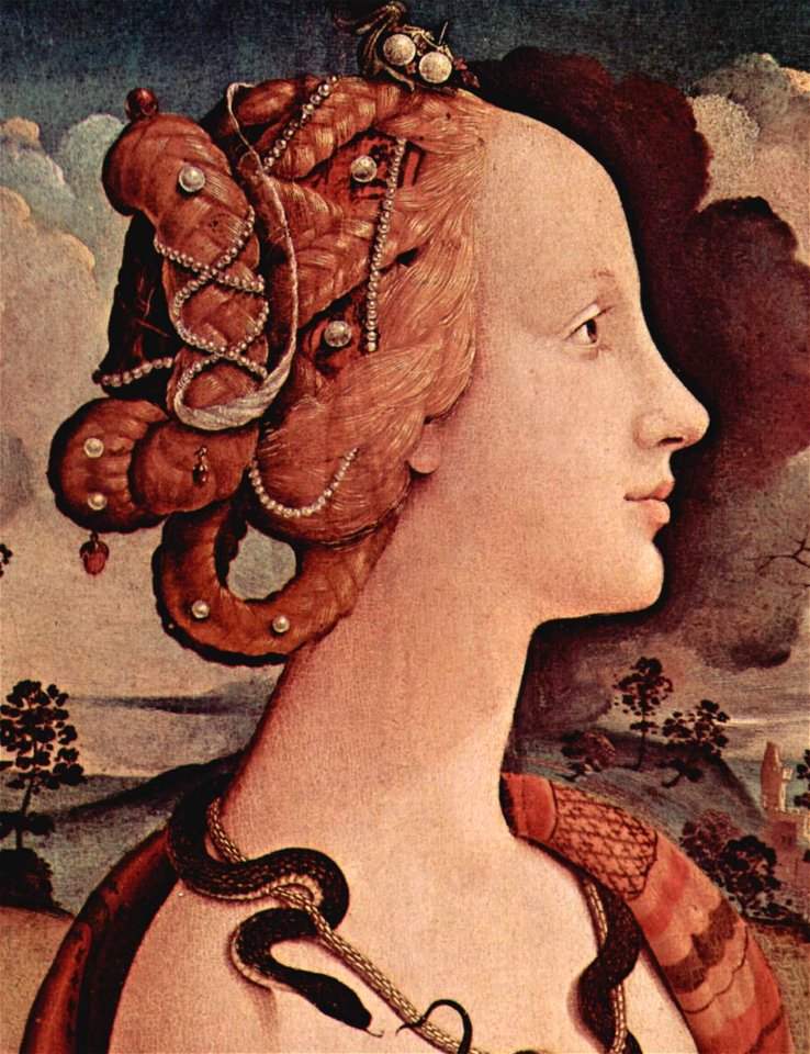 Piero di Cosimo Simonetta Vespucci