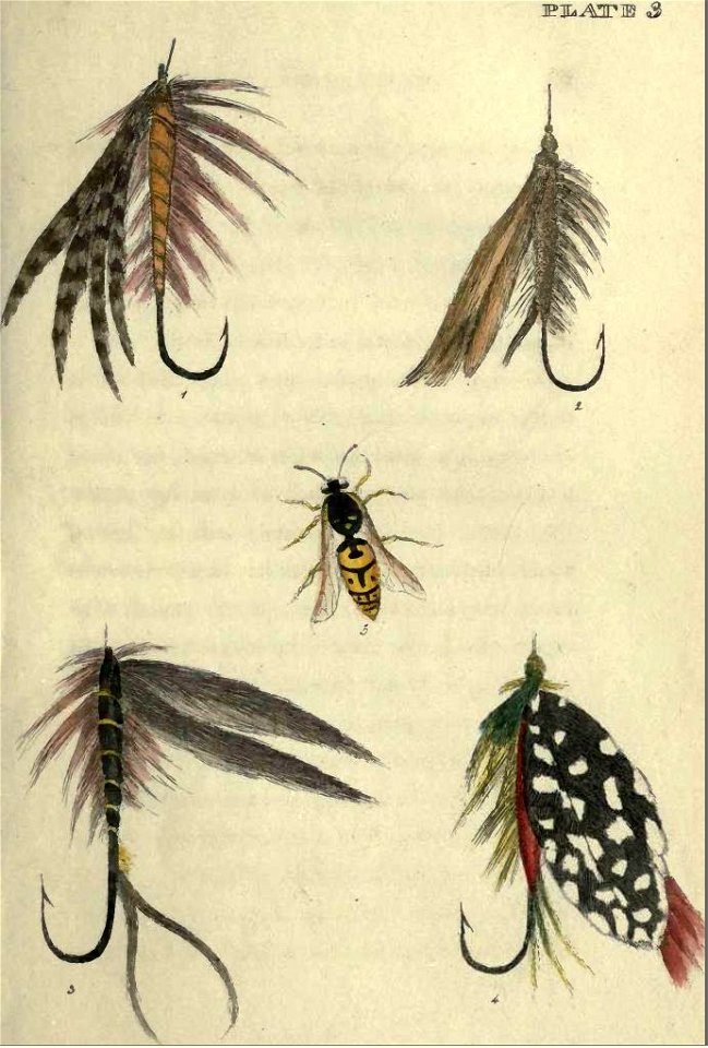 Plate3Bainbridge