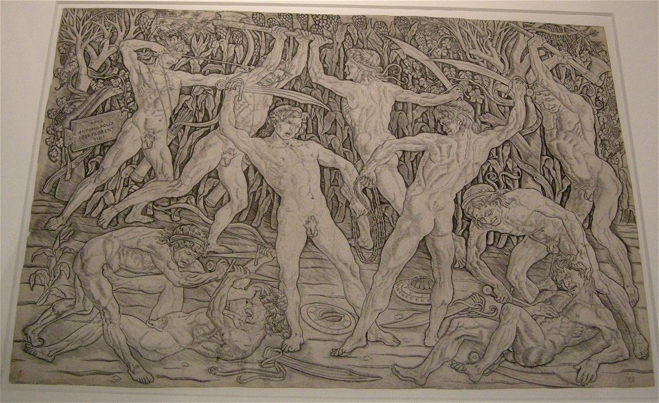 Antonio del pollaiolo, battaglia di ignudi