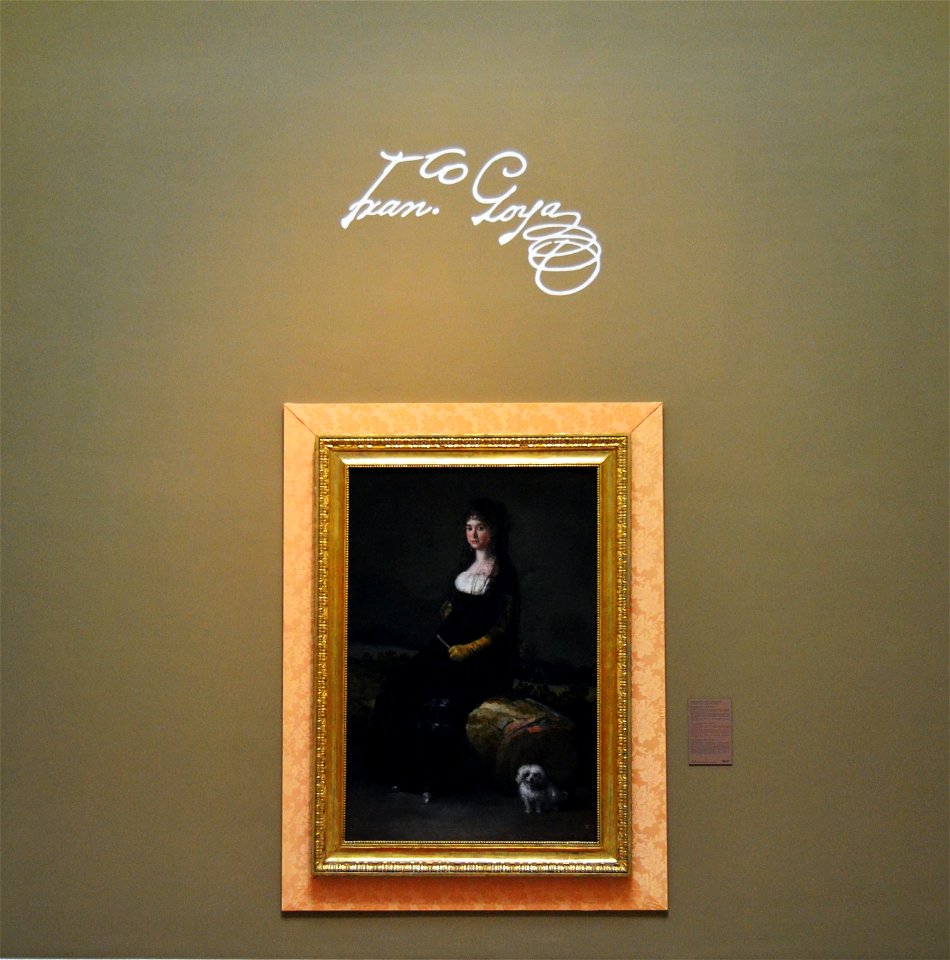 Retrat de Joaquina Candado de Goya, Museu de Belles Arts de València