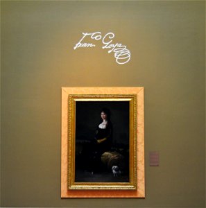 Retrat de Joaquina Candado de Goya, Museu de Belles Arts de València