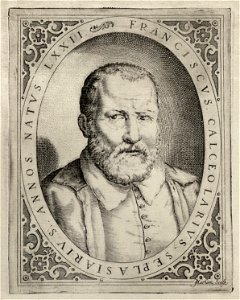 Portret van de pharmaceut Francisco Calzolari Franciscus Calceolarius, op 72- jarige leeftijd. NL-HlmNHA 1477 53010828