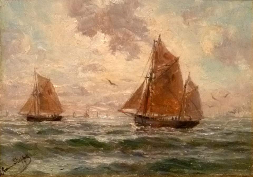 Romain Steppe 008