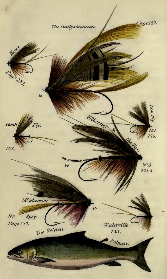 Plate19Blackers-Plateof7FliesandSalmon