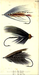 Plate XI-Francis-Salmon Flies. Free illustration for personal and commercial use.
