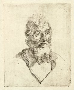 Portret van een oude man met baard. NL-HlmNHA 1477 53010341