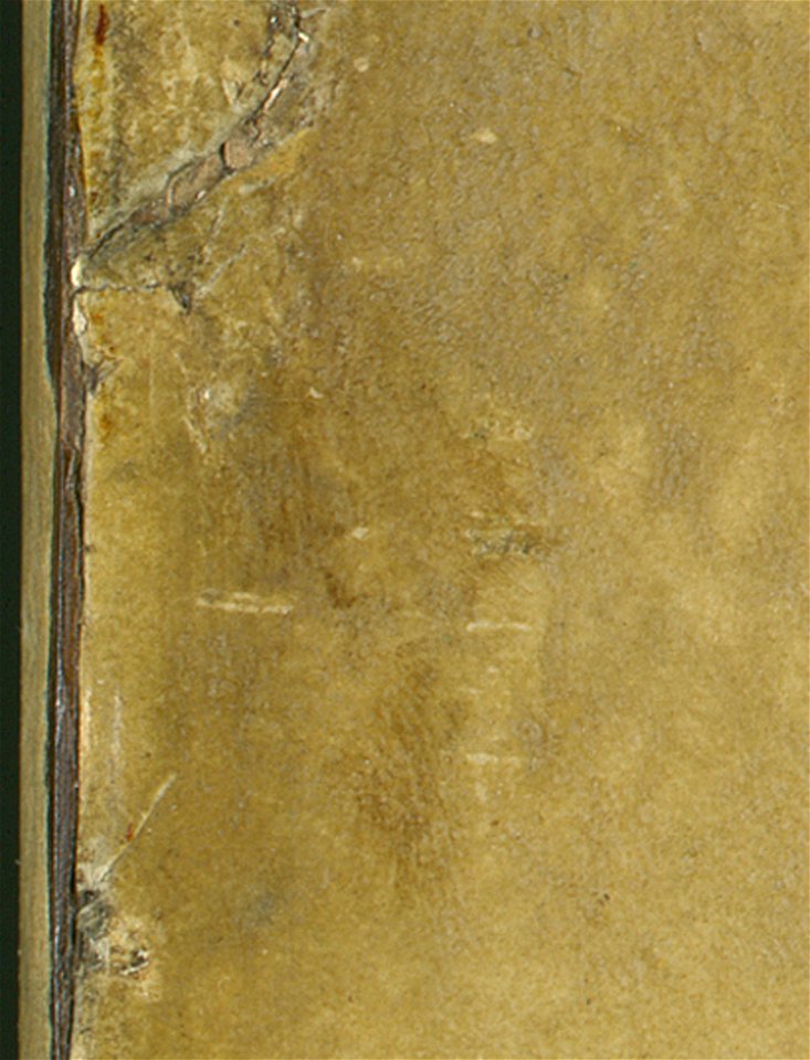Profile of a Young Fiancee - fingerprint
