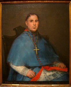 Portrait of Don Fr. Miguel Fernandez y Flores, circa 1815, by Francisco Jose de Goya y Lucientes (1740-1826) - IMG 7271