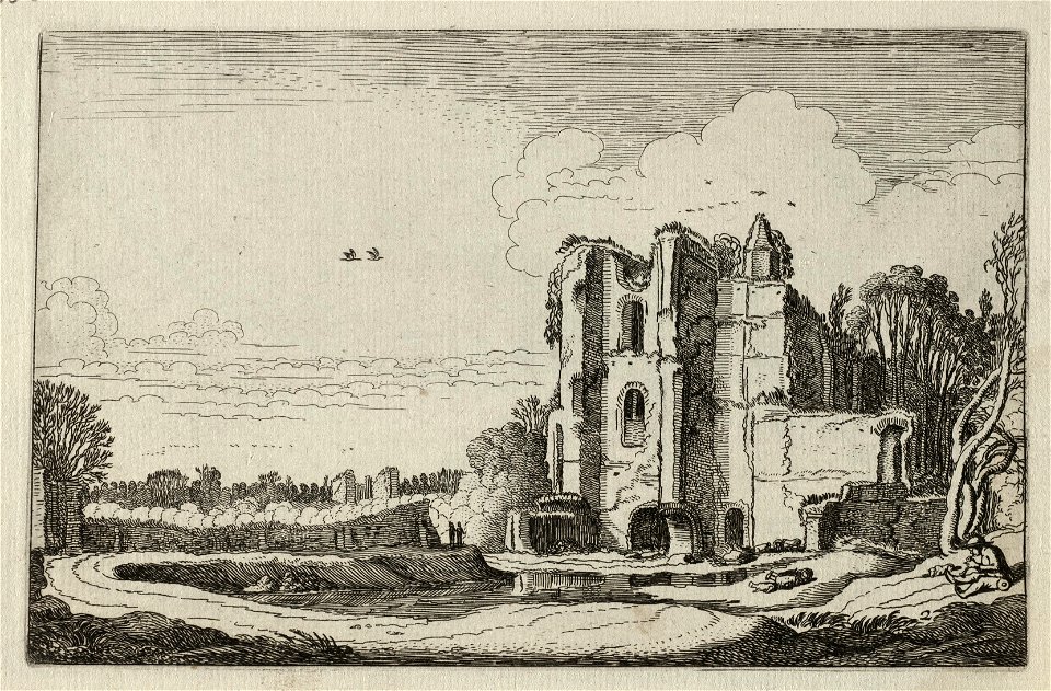 Ruïne van kasteel Brederode. NL-HlmNHA 53012436