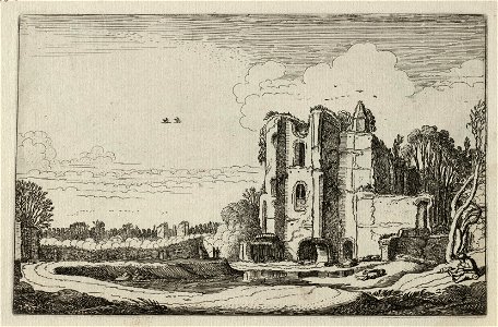 Ruïne van kasteel Brederode. NL-HlmNHA 53012436