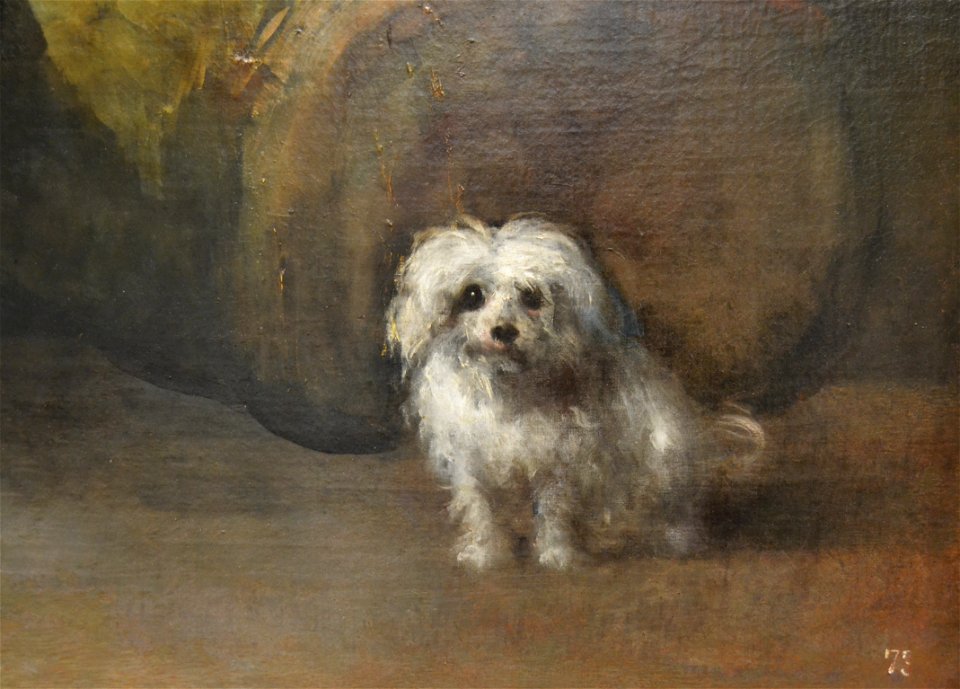 Retrat de Joaquina Candado (detall) de Goya, Museu de Belles Arts de València