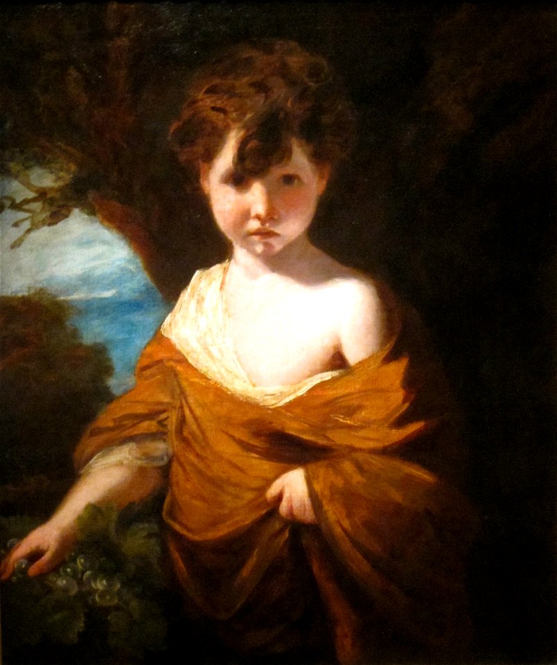 'Boy with Grapes' by Joshua Reynolds, Cincinnati Art Museum