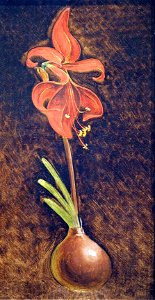 Runge Philipp Otto Amaryllis@Kunsthalle Hamburg
