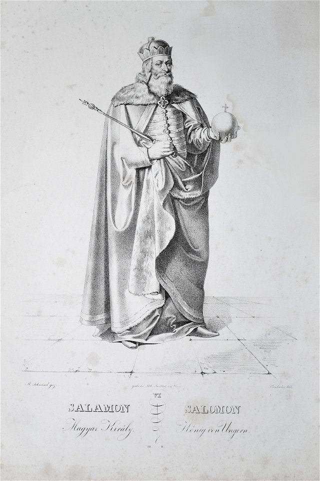 Salomon Litho