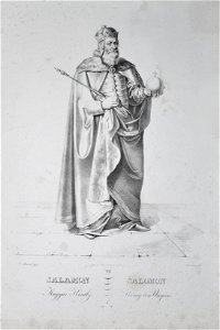 Salomon Litho