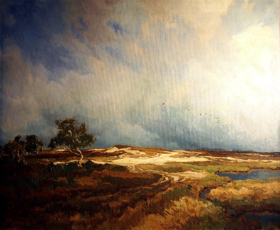 Rudolf Hermanns Heidelandschaft 01