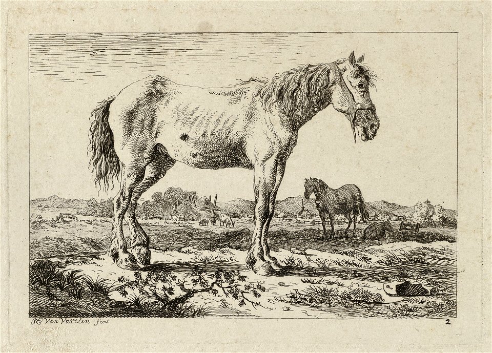 Staand paard in een landschap, met in de cahtegrond nog een paard en ander vee. NL-HlmNHA 1477 53012173