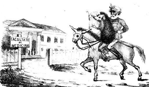 Sander & Co. - Poetu Sarsailă şi Ariciŭ-Secu, Ghimpele, 2 oct 1866