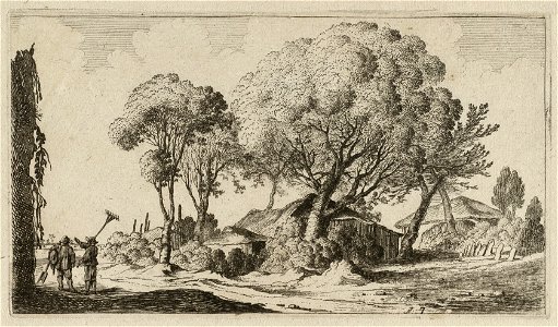 Schuur in de duinen. NL-HlmNHA 1477 53011609