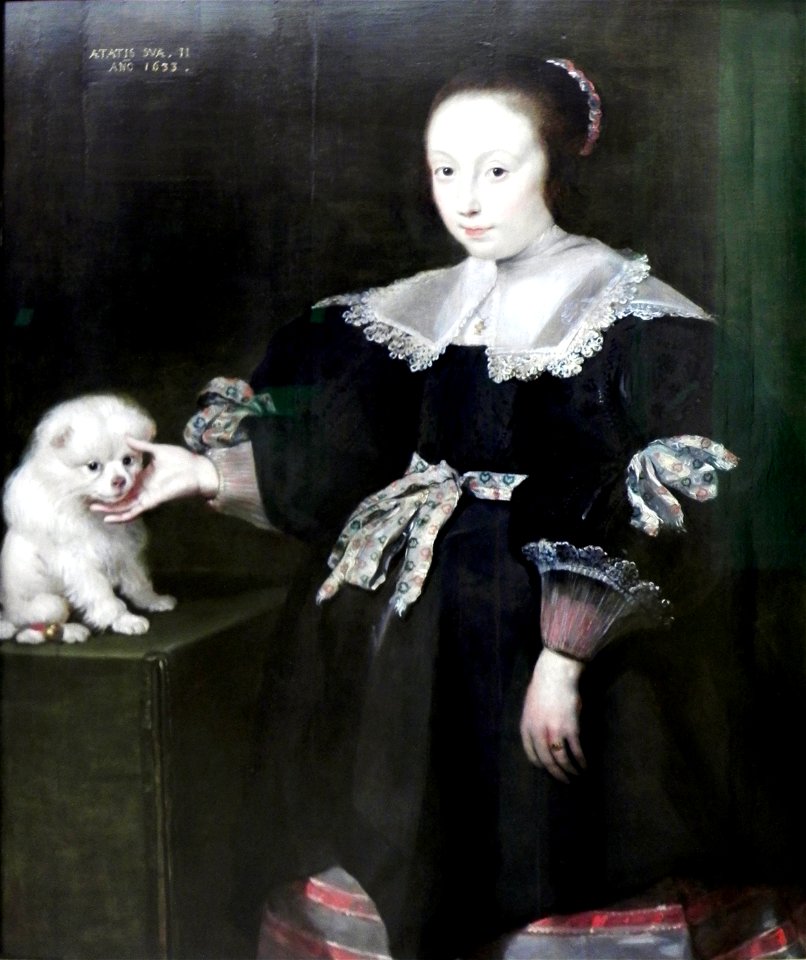 De Vos Cornelis Mächen Hund