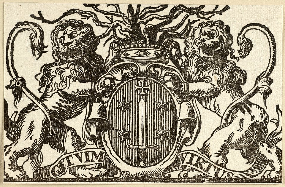 Stadswapen van Haarlem. NL-HlmNHA 1477 53010306