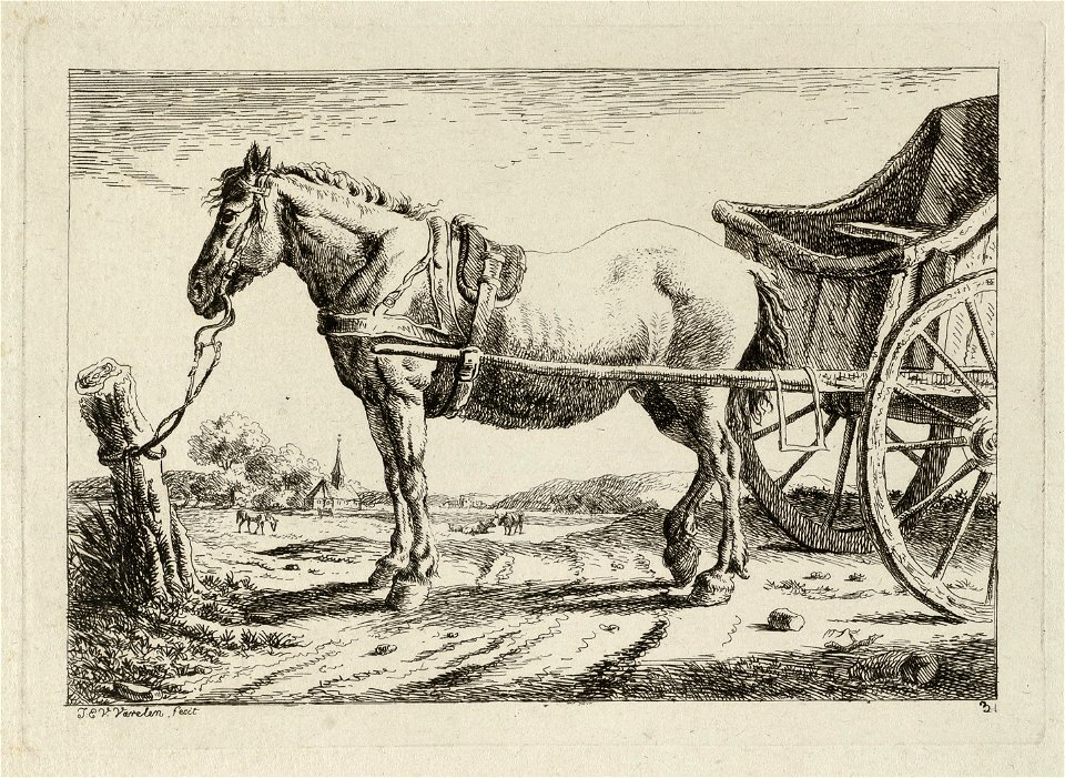 Staand paard, voor een wagen gespannen en aan het bit vastgemaakt aan een paal. NL-HlmNHA 1477 53012174